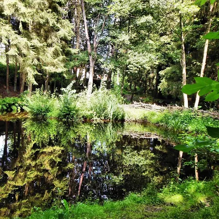 Authentic In With Private Fish Pond *