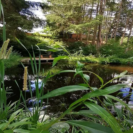 Cozy With Sauna, Chalet Wibrin