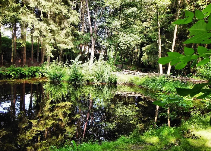 Cozy With Sauna, Chalet